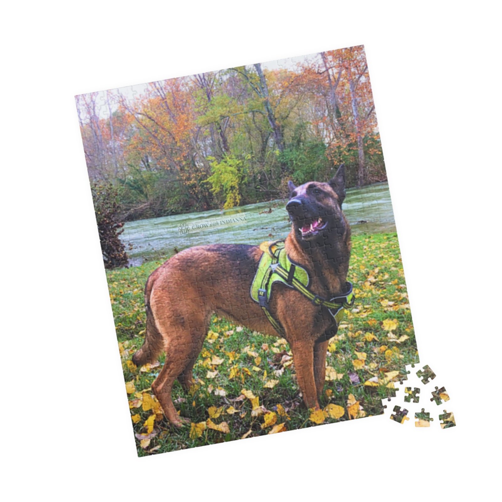 đ§©Puzzle â Indianna dans la Nature d'Automne (110â1014 pcs)- Collection Grow with Indianna â Image 15