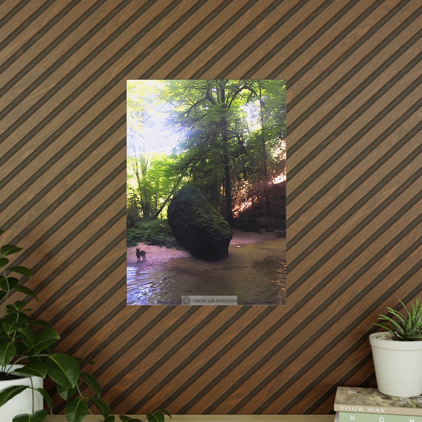 Affiche Photo Officielle "La Forêt Lumineuse" – Collection Grow with Indianna – Image 9