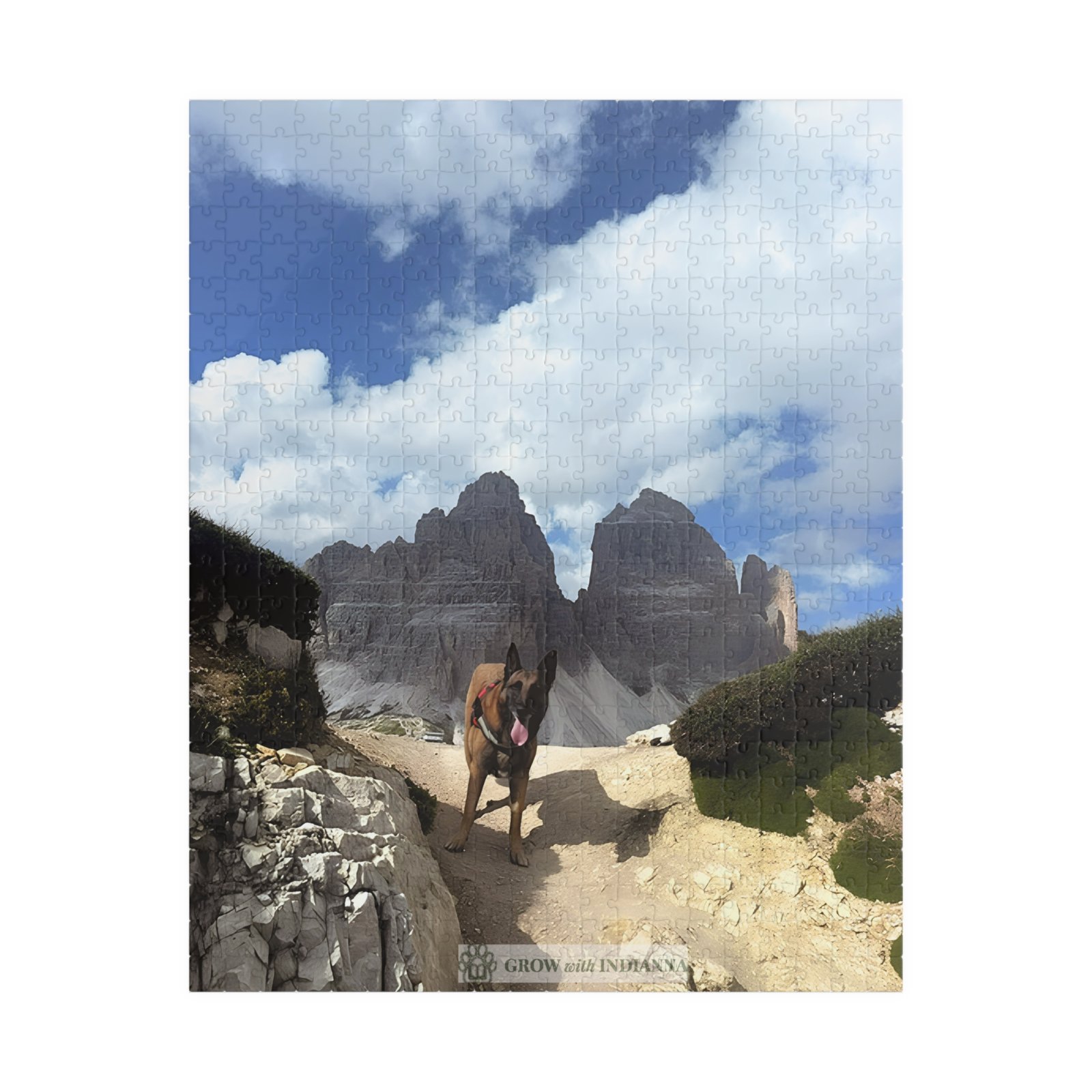 đ§© Puzzle Officiel "L'Aventure des Tre Cime" â Collection Grow with Indianna â Image 9