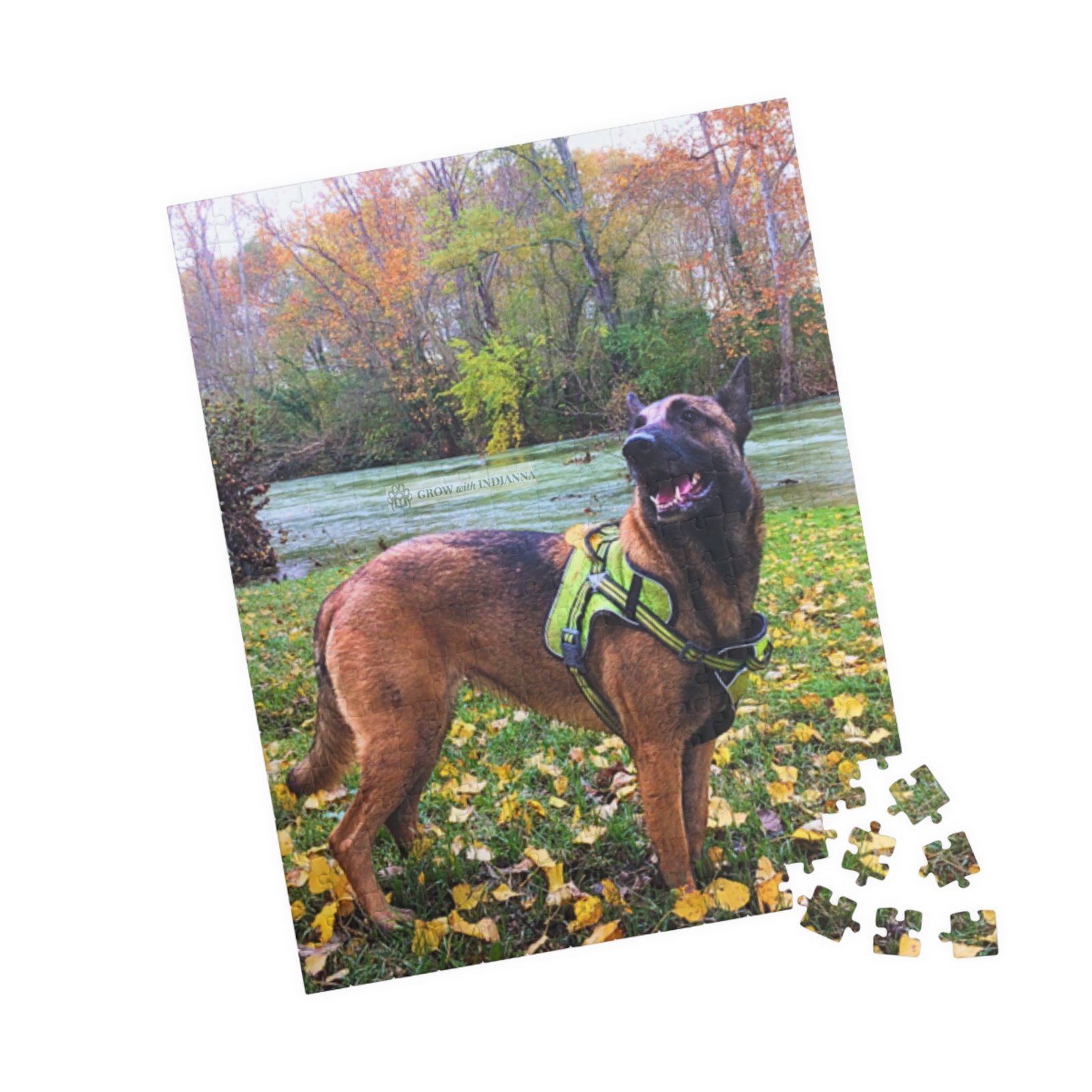 đ§©Puzzle â Indianna dans la Nature d'Automne (110â1014 pcs)- Collection Grow with Indianna â Image 11