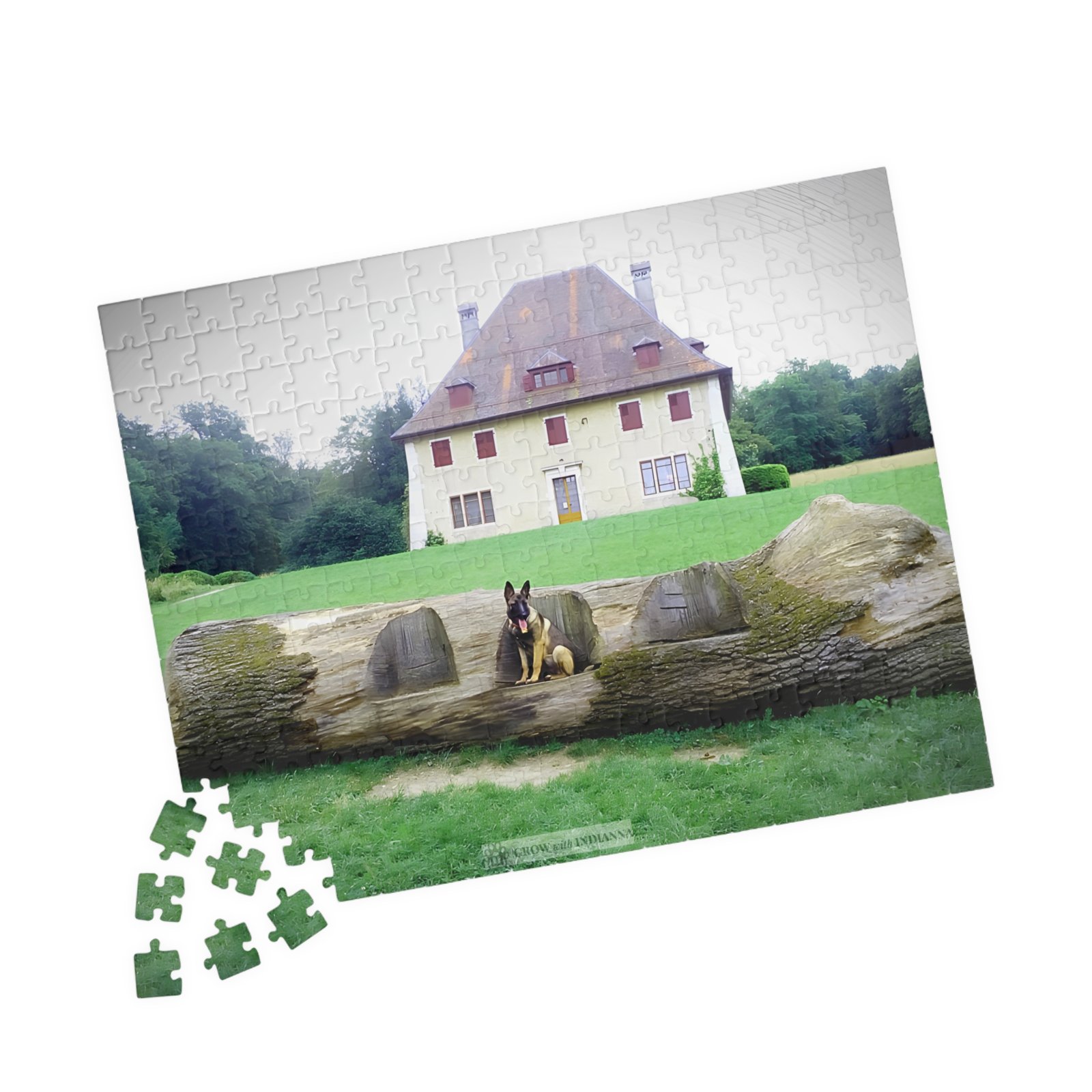 đ§© Puzzle Officiel "Le Manoir d'Indianna" â Collection Grow with Indianna â Image 7