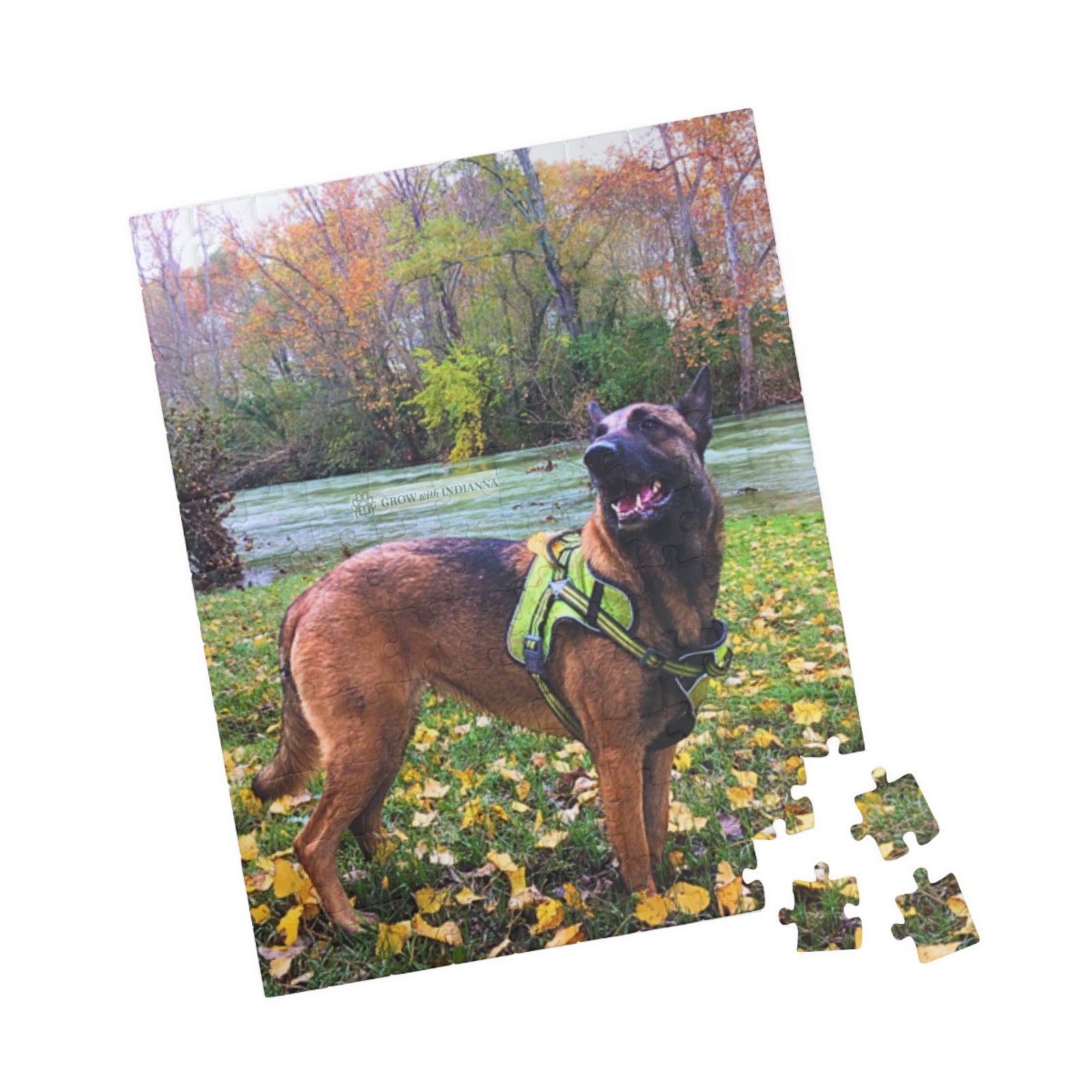 đ§©Puzzle â Indianna dans la Nature d'Automne (110â1014 pcs)- Collection Grow with Indianna â Image 7