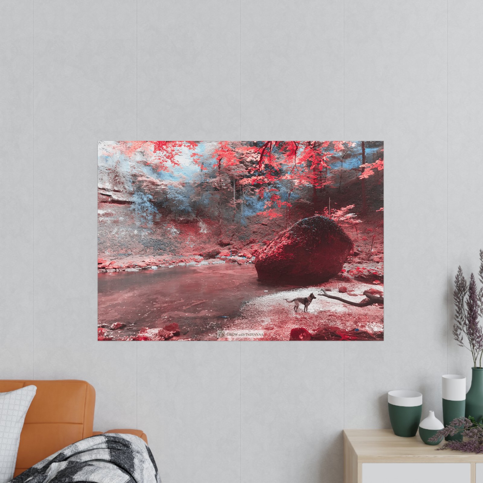 Affiche Photo Officielle "La Forêt Enchantée" – Collection Grow with Indianna – Image 38