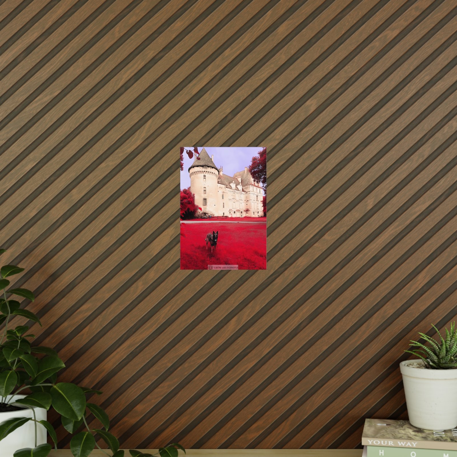 Affiche Photo Officielle "Le Château Enchanté" – Collection Grow with Indianna – Image 33