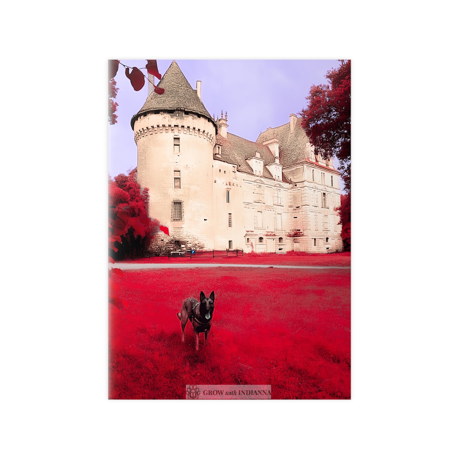 Affiche Photo Officielle "Le Château Enchanté" – Collection Grow with Indianna – Image 22