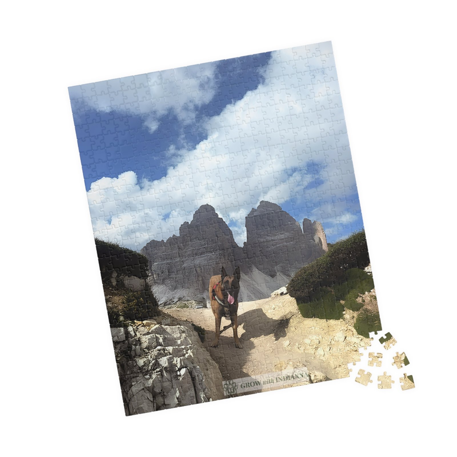 đ§© Puzzle Officiel "L'Aventure des Tre Cime" â Collection Grow with Indianna â Image 11