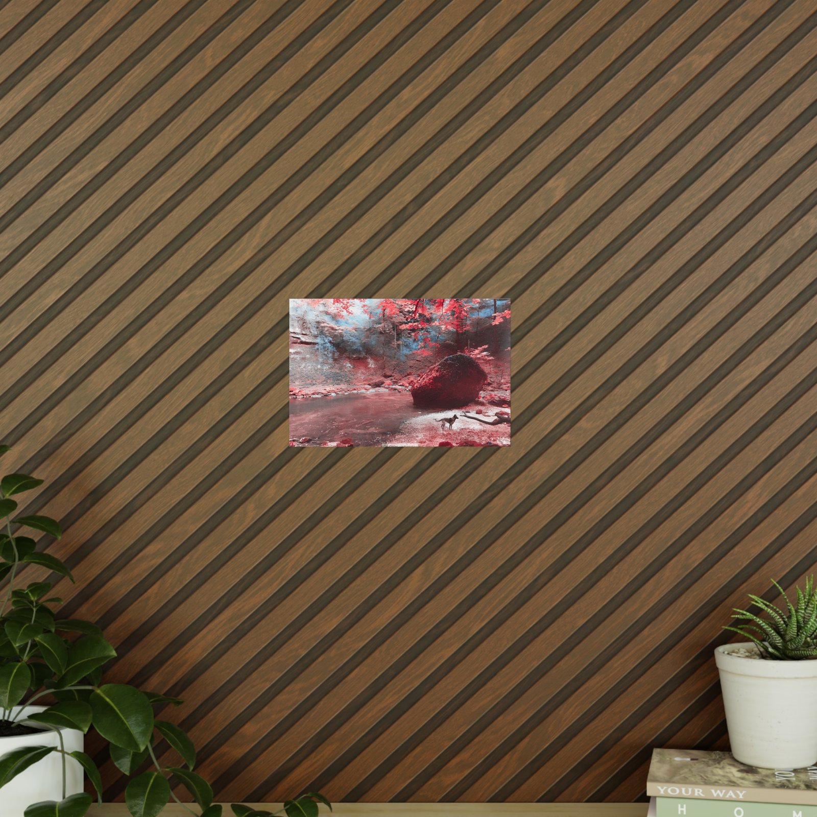 Affiche Photo Officielle "La Forêt Enchantée" – Collection Grow with Indianna – Image 30