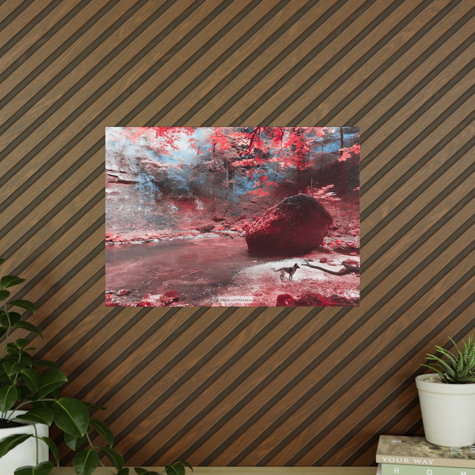 Affiche Photo Officielle "La Forêt Enchantée" – Collection Grow with Indianna – Image 15