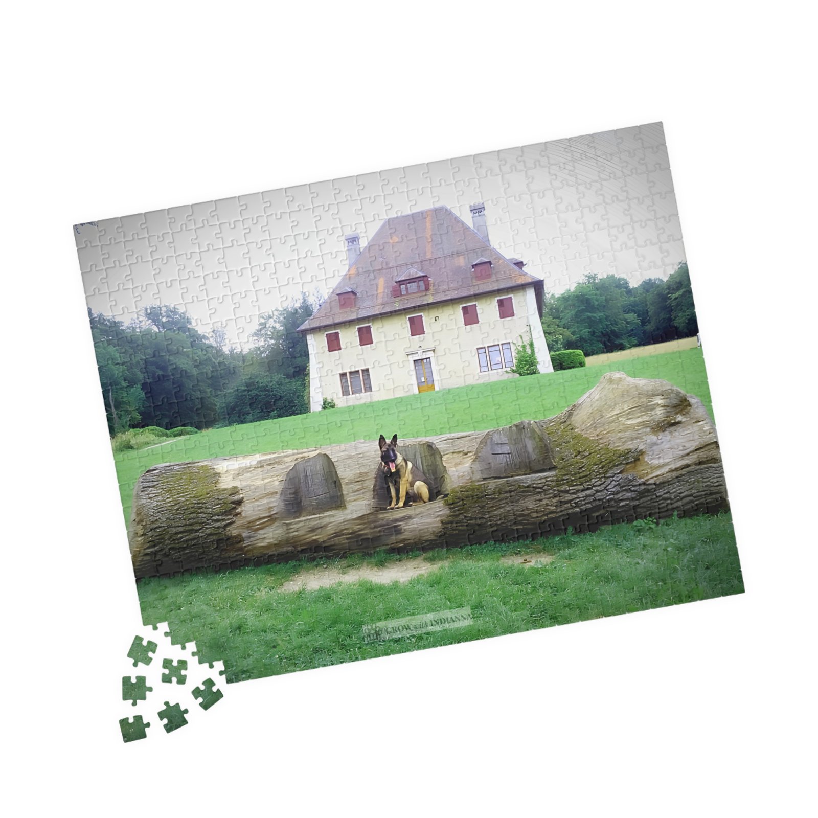 đ§© Puzzle Officiel "Le Manoir d'Indianna" â Collection Grow with Indianna â Image 11
