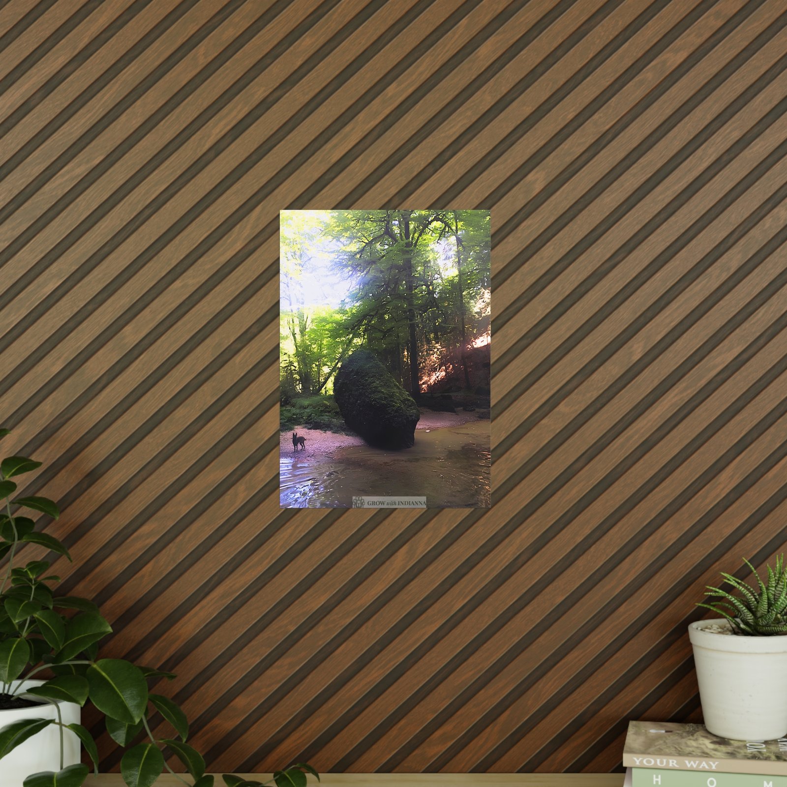 Affiche Photo Officielle "La Forêt Lumineuse" – Collection Grow with Indianna – Image 6