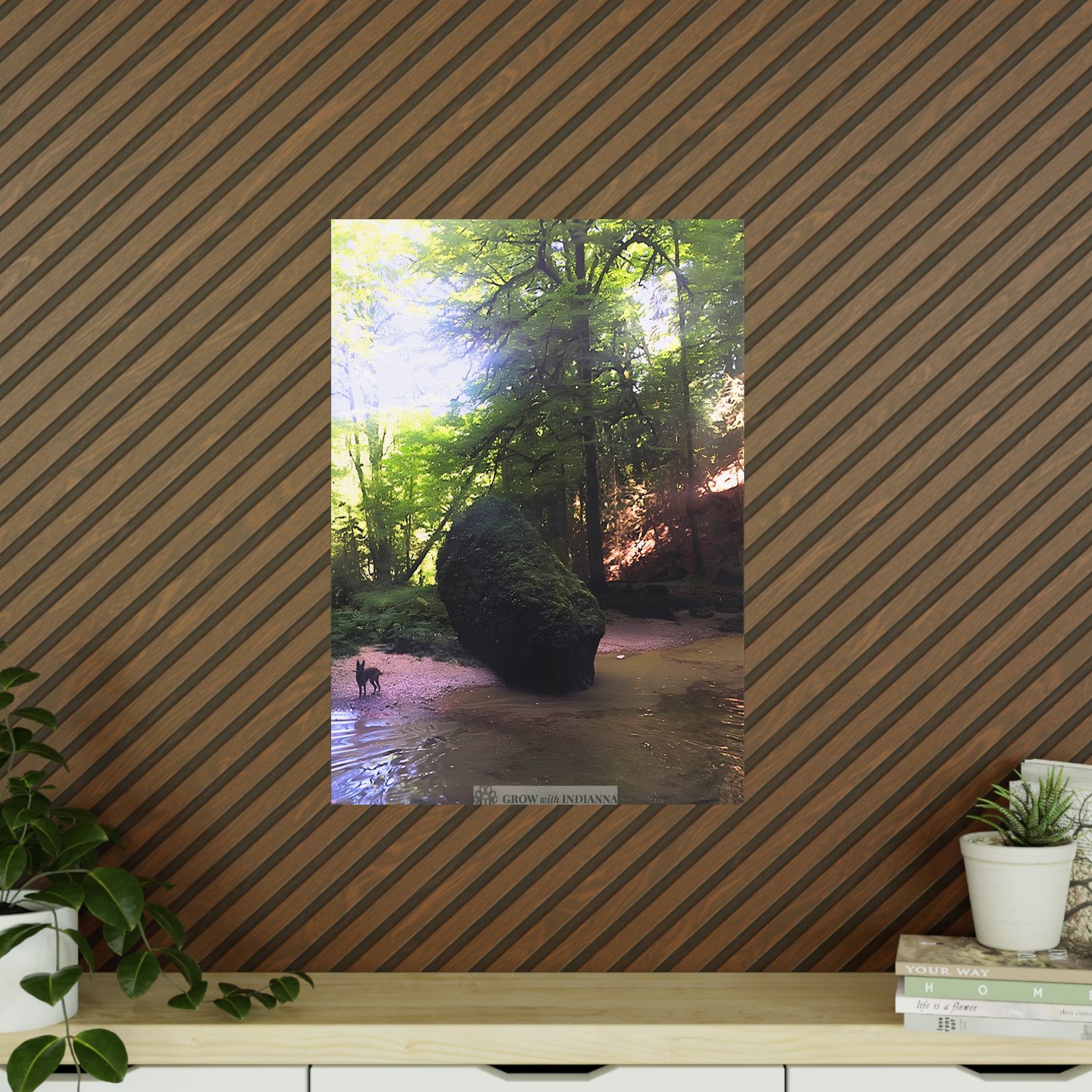 Affiche Photo Officielle "La Forêt Lumineuse" – Collection Grow with Indianna – Image 24