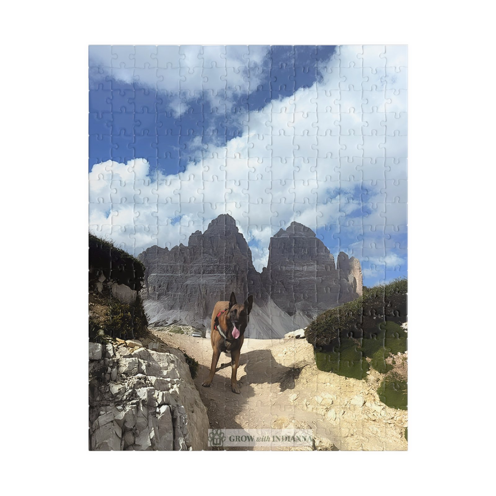 đ§© Puzzle Officiel "L'Aventure des Tre Cime" â Collection Grow with Indianna â Image 5