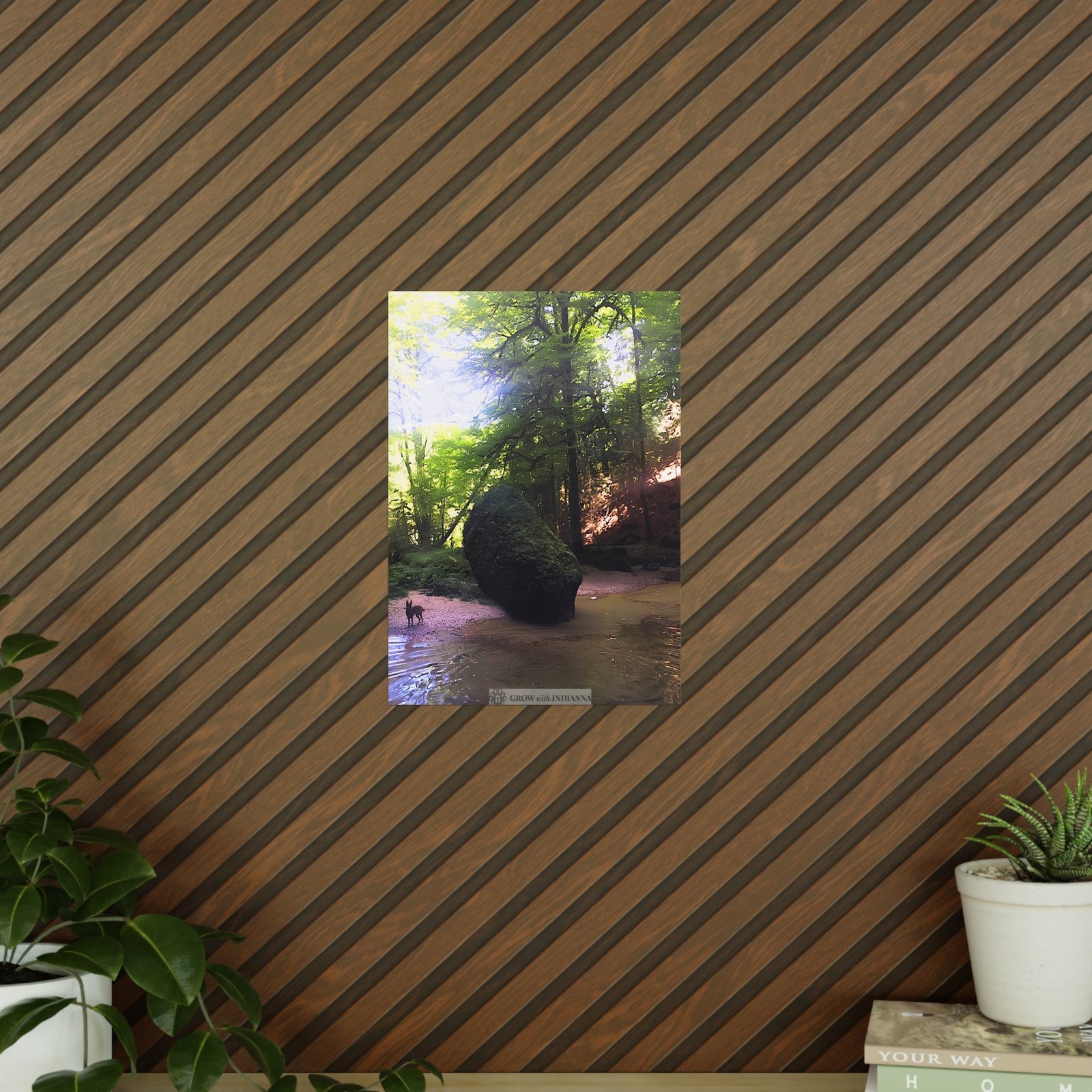 Affiche Photo Officielle "La Forêt Lumineuse" – Collection Grow with Indianna – Image 3