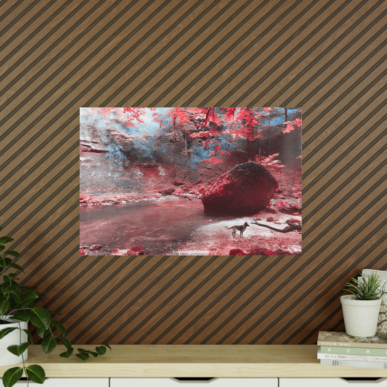 Affiche Photo Officielle "La Forêt Enchantée" – Collection Grow with Indianna – Image 36