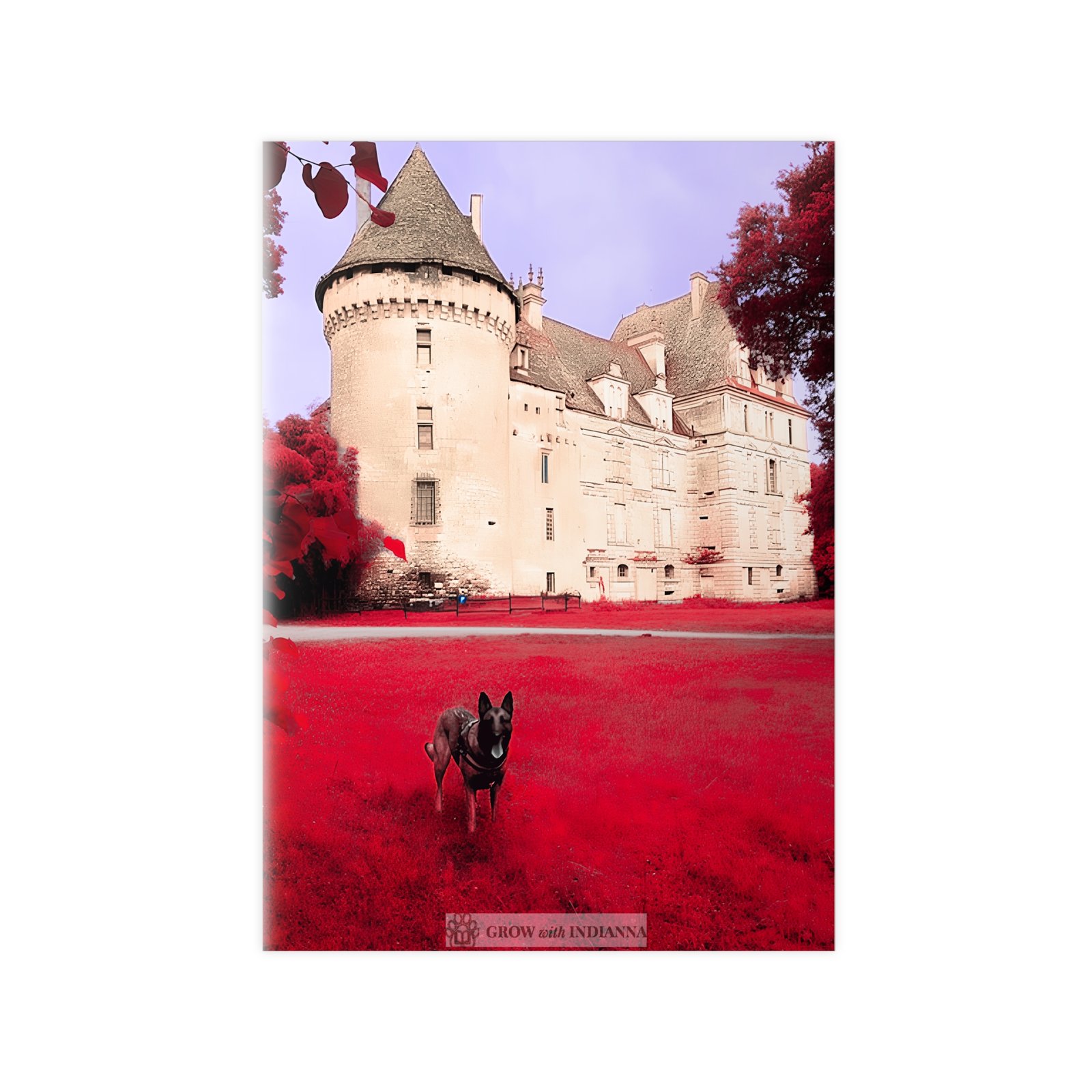 Affiche Photo Officielle "Le Château Enchanté" – Collection Grow with Indianna – Image 10