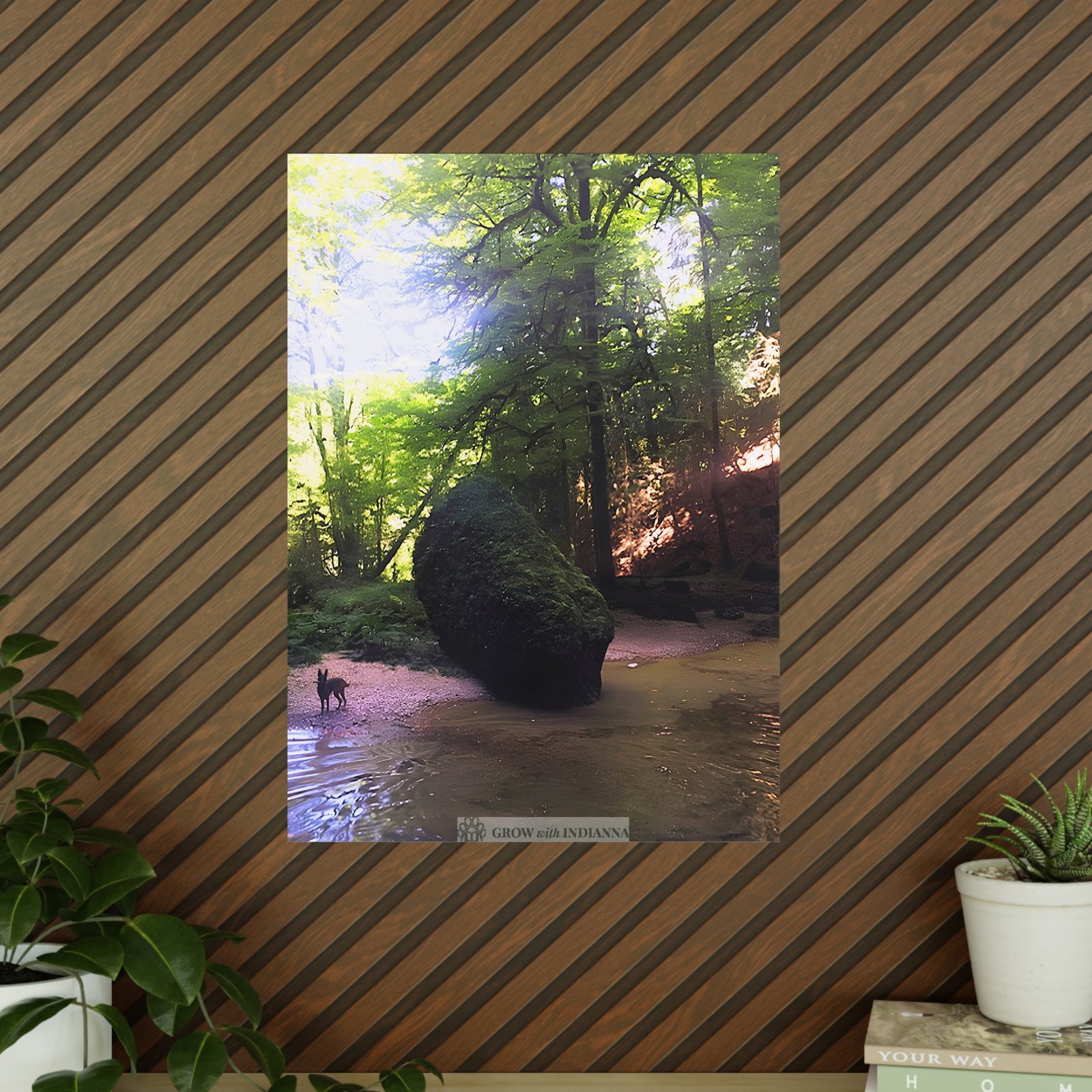Affiche Photo Officielle "La Forêt Lumineuse" – Collection Grow with Indianna – Image 15