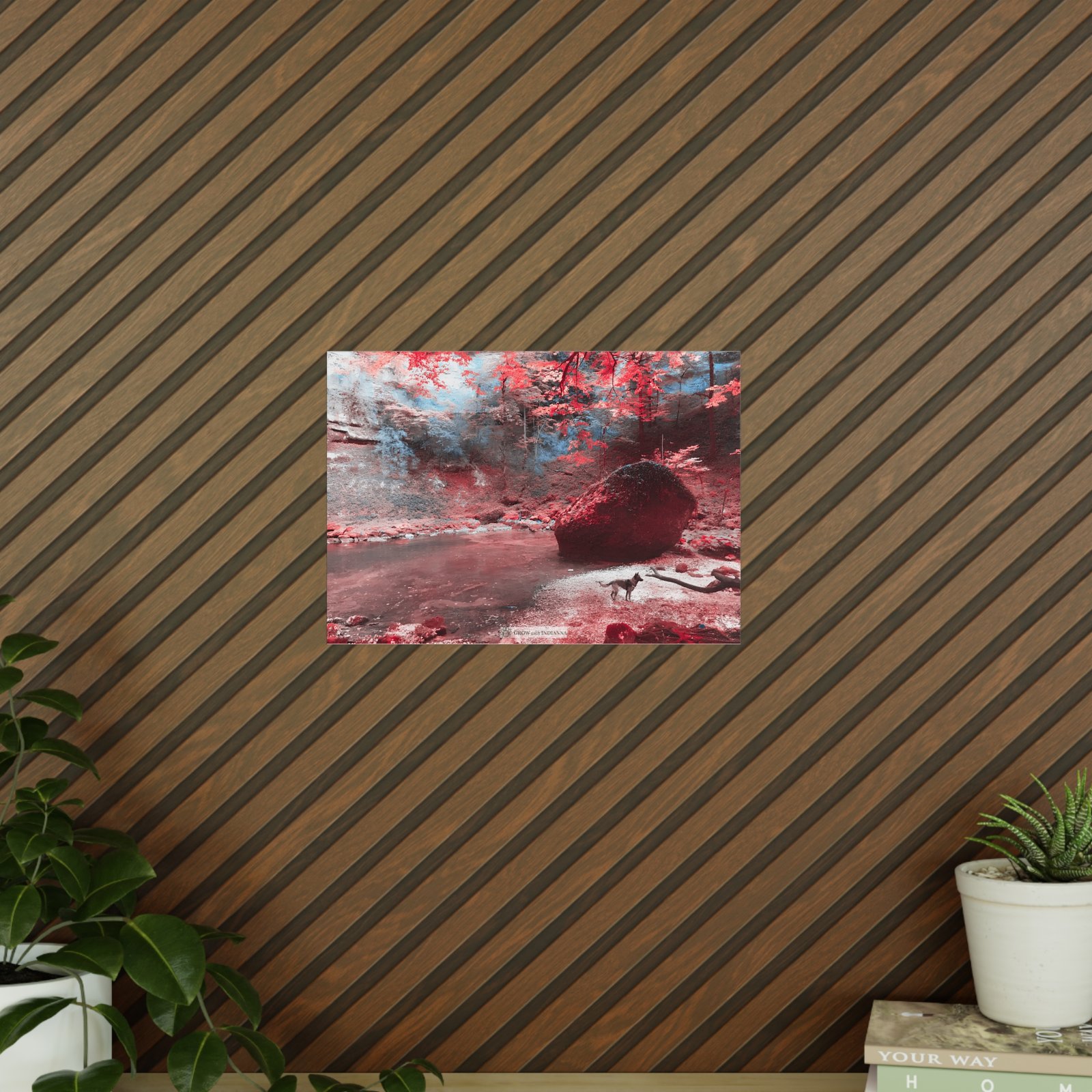 Affiche Photo Officielle "La Forêt Enchantée" – Collection Grow with Indianna – Image 8