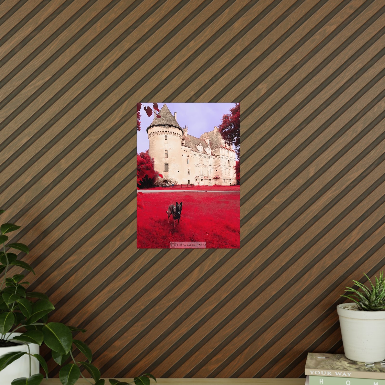 Affiche Photo Officielle "Le Château Enchanté" – Collection Grow with Indianna – Image 9