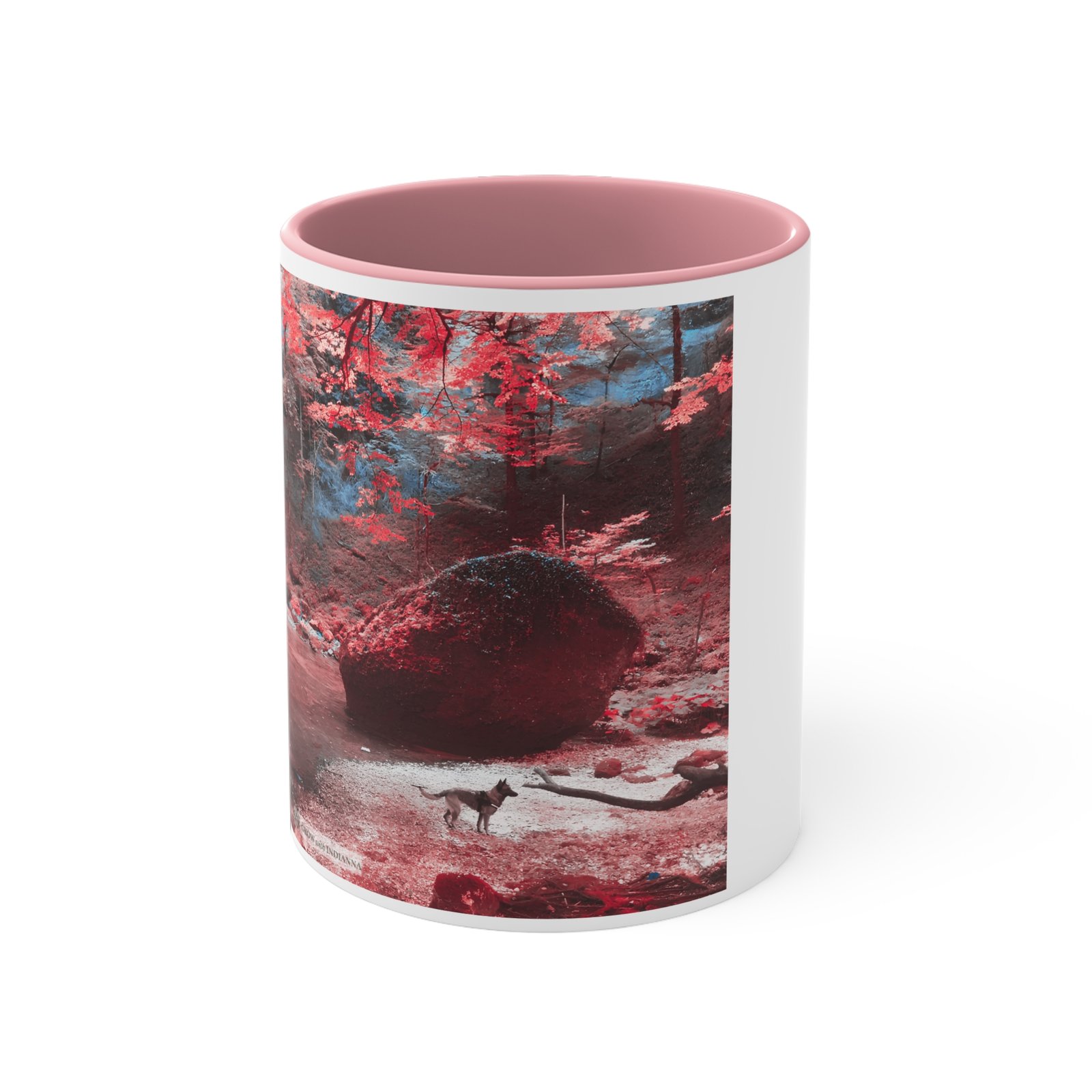 ☕ Mug Bicolore "Forêt Enchantée" – Collection Grow with Indianna – Image 13