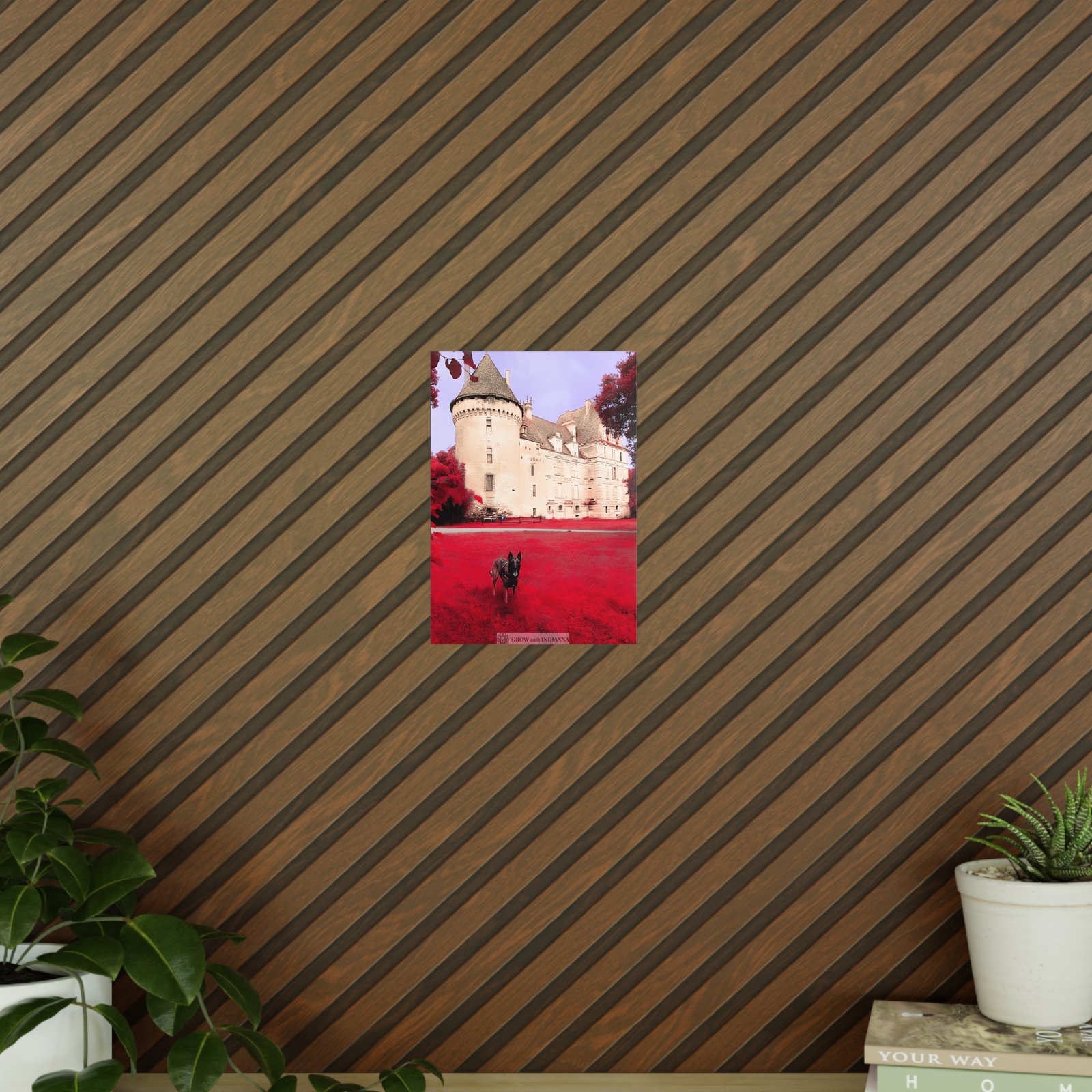 Affiche Photo Officielle "Le Château Enchanté" – Collection Grow with Indianna – Image 35