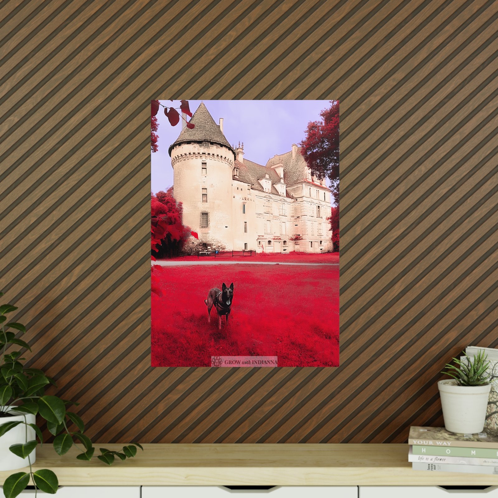 Affiche Photo Officielle "Le Château Enchanté" – Collection Grow with Indianna – Image 27