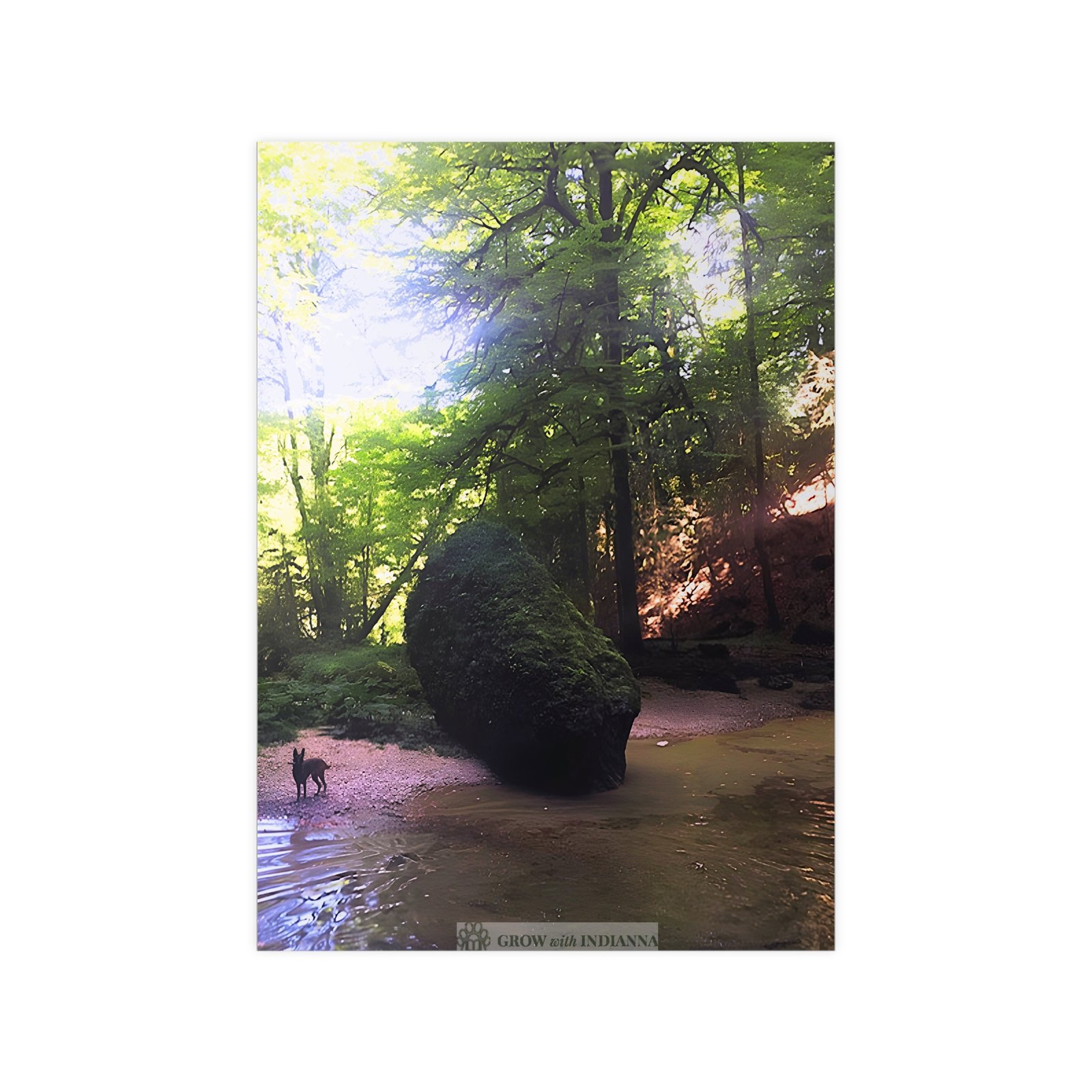 Affiche Photo Officielle "La Forêt Lumineuse" – Collection Grow with Indianna – Image 13