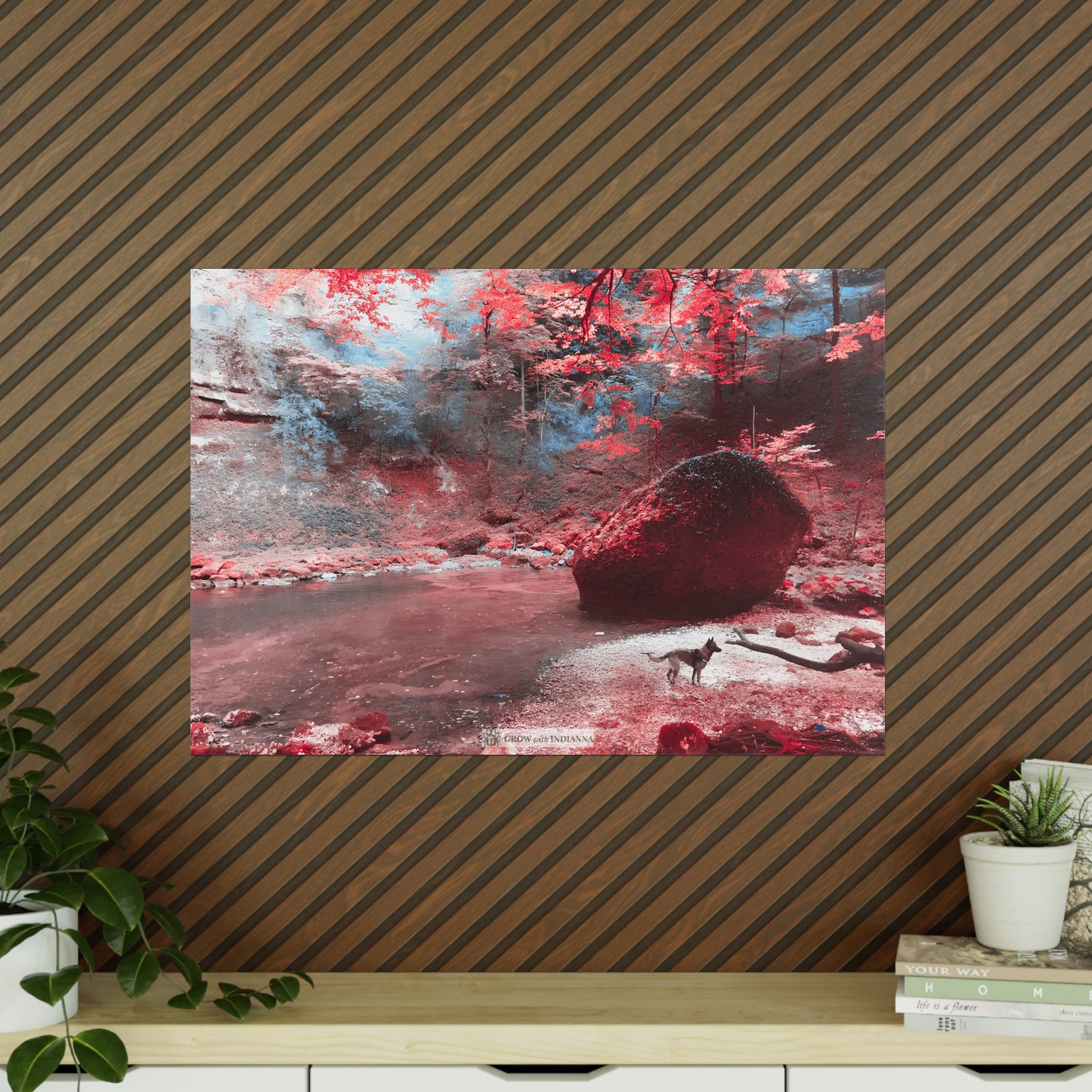Affiche Photo Officielle "La Forêt Enchantée" – Collection Grow with Indianna – Image 39