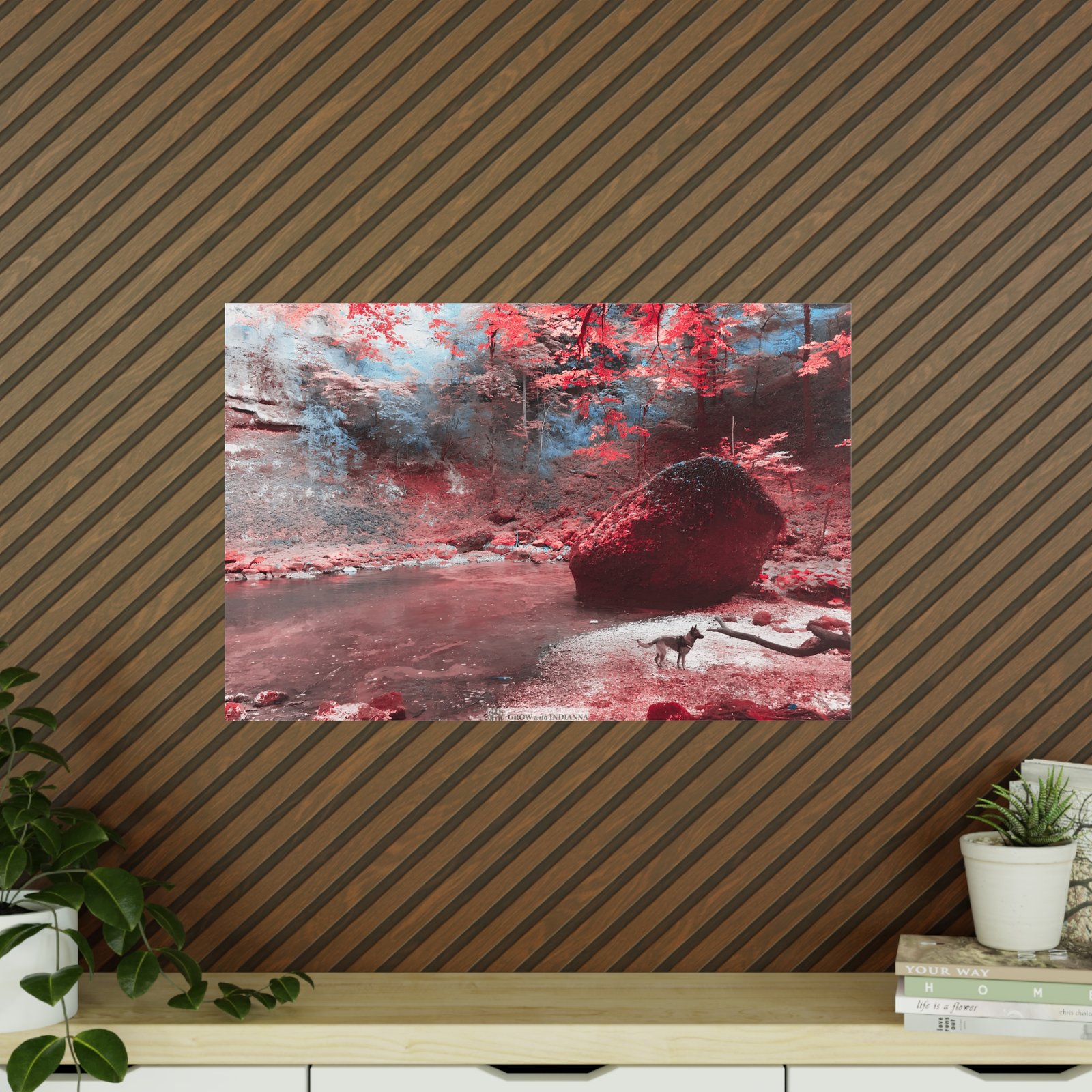 Affiche Photo Officielle "La Forêt Enchantée" – Collection Grow with Indianna – Image 33