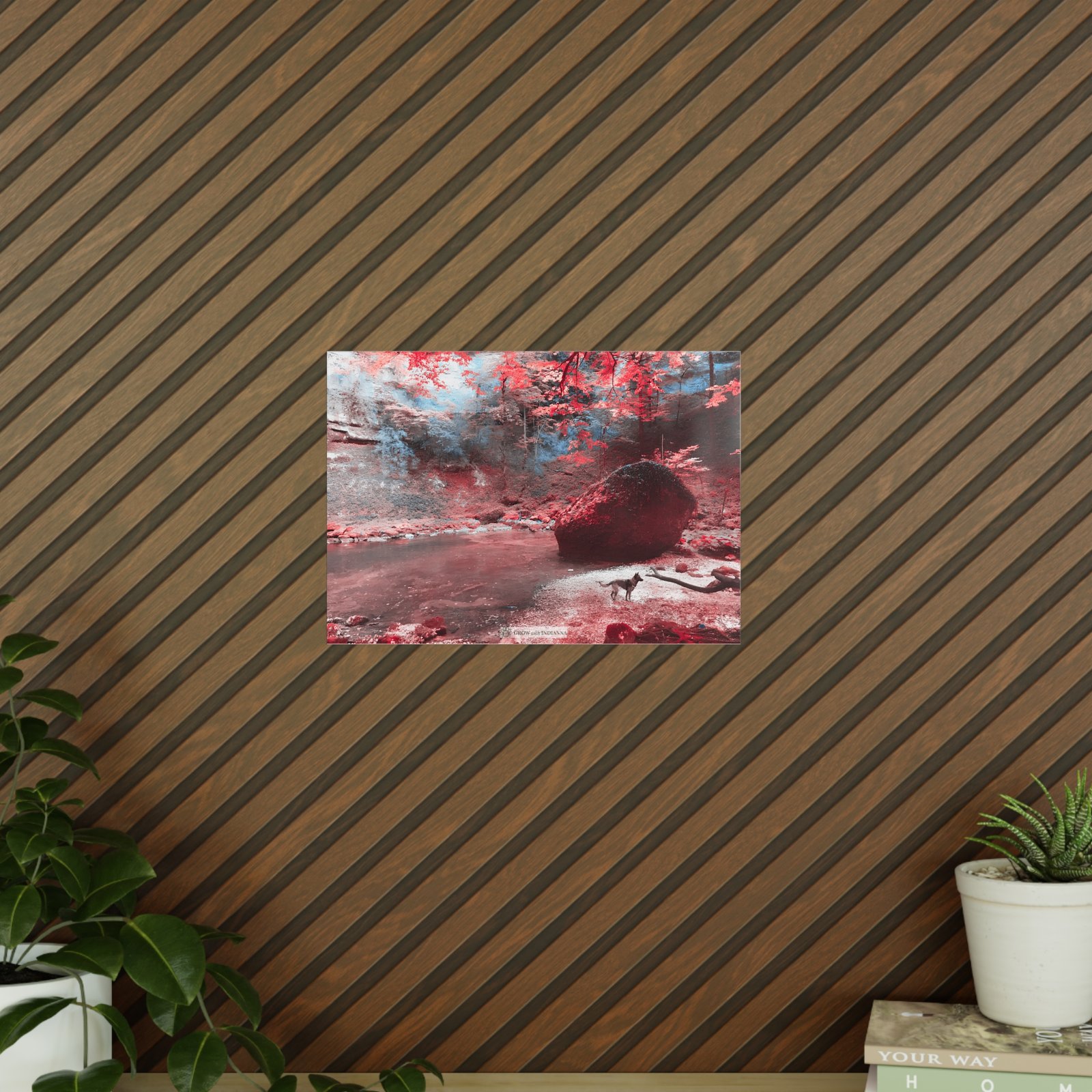 Affiche Photo Officielle "La Forêt Enchantée" – Collection Grow with Indianna – Image 12