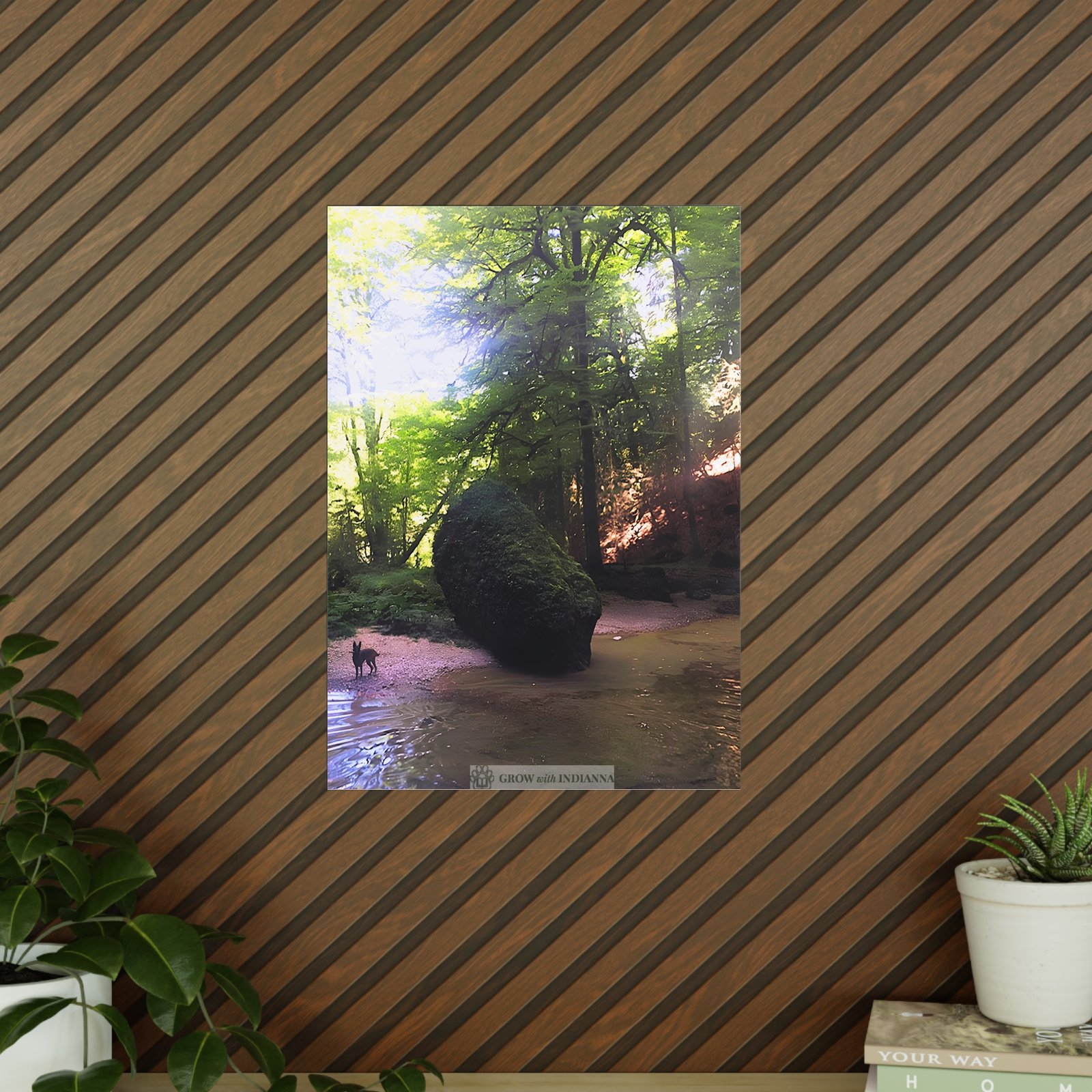 Affiche Photo Officielle "La Forêt Lumineuse" – Collection Grow with Indianna – Image 12