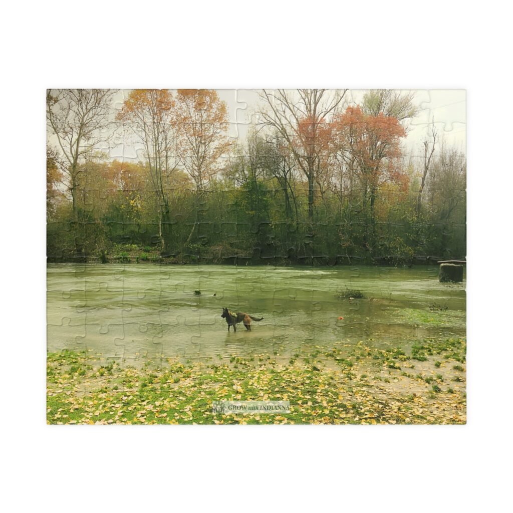🧩 Puzzle Officiel "La Rivière d'Automne" – Collection Grow with Indianna