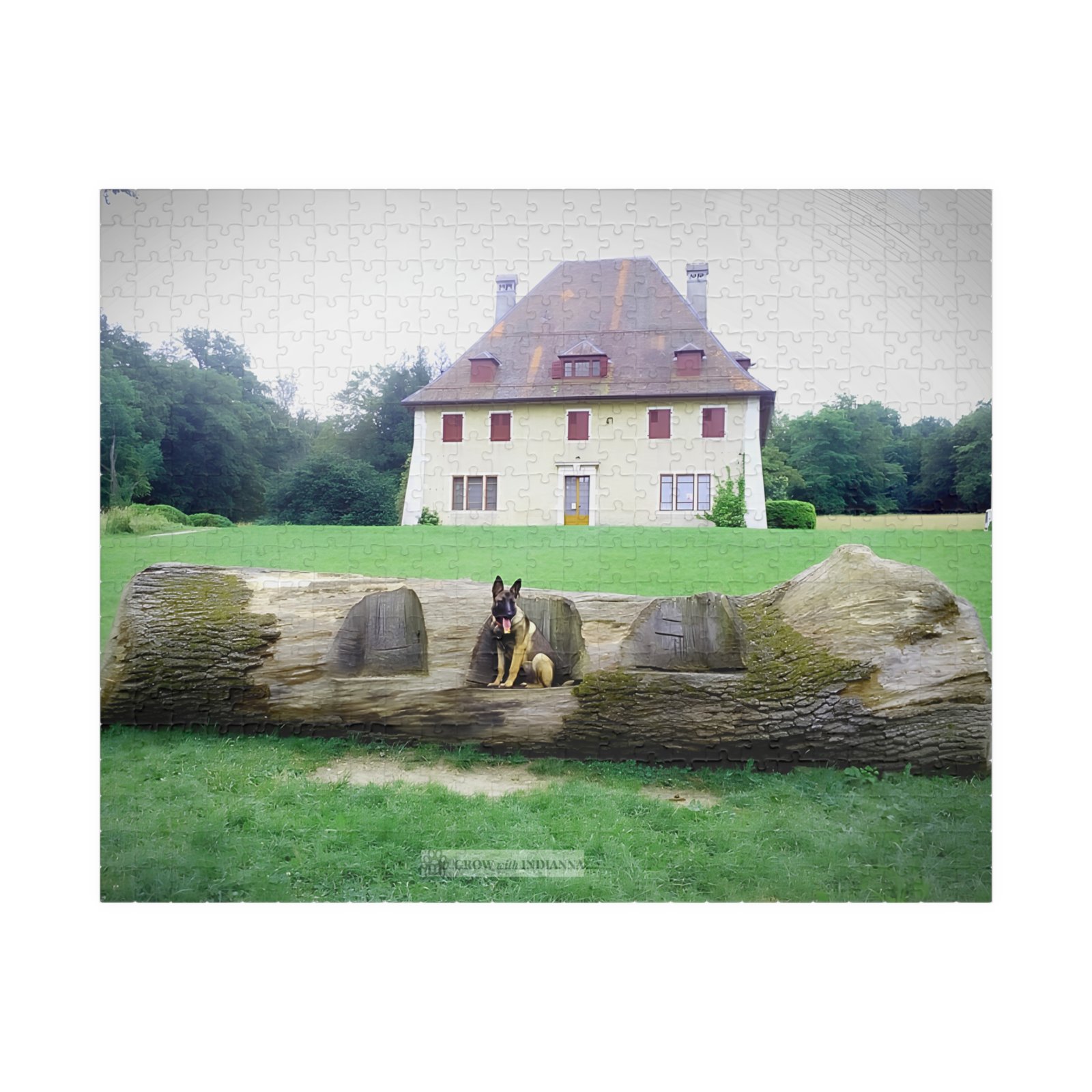 đ§© Puzzle Officiel "Le Manoir d'Indianna" â Collection Grow with Indianna â Image 9