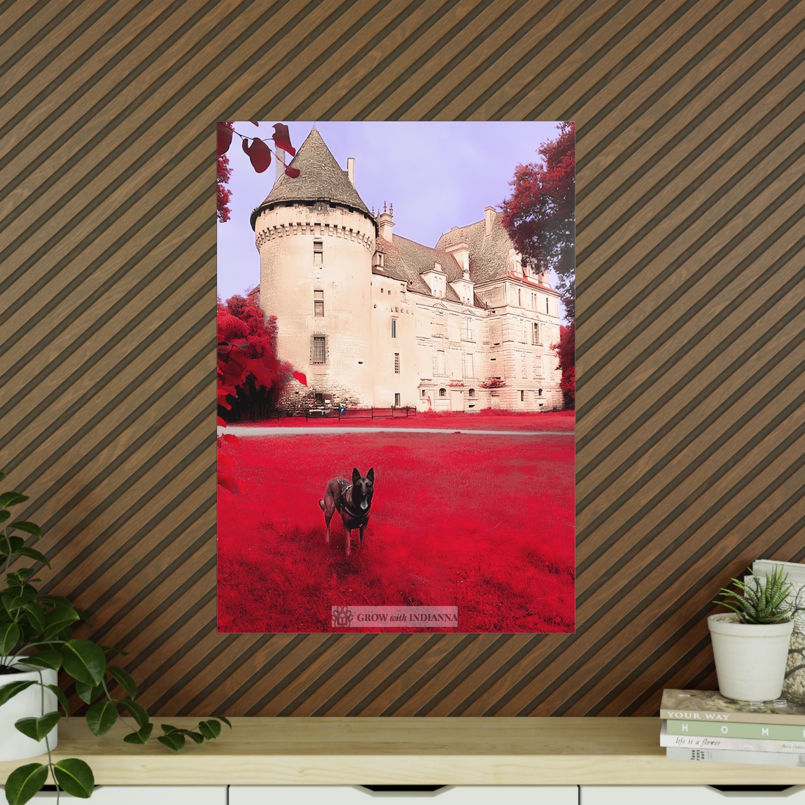Affiche Photo Officielle "Le Château Enchanté" – Collection Grow with Indianna – Image 6