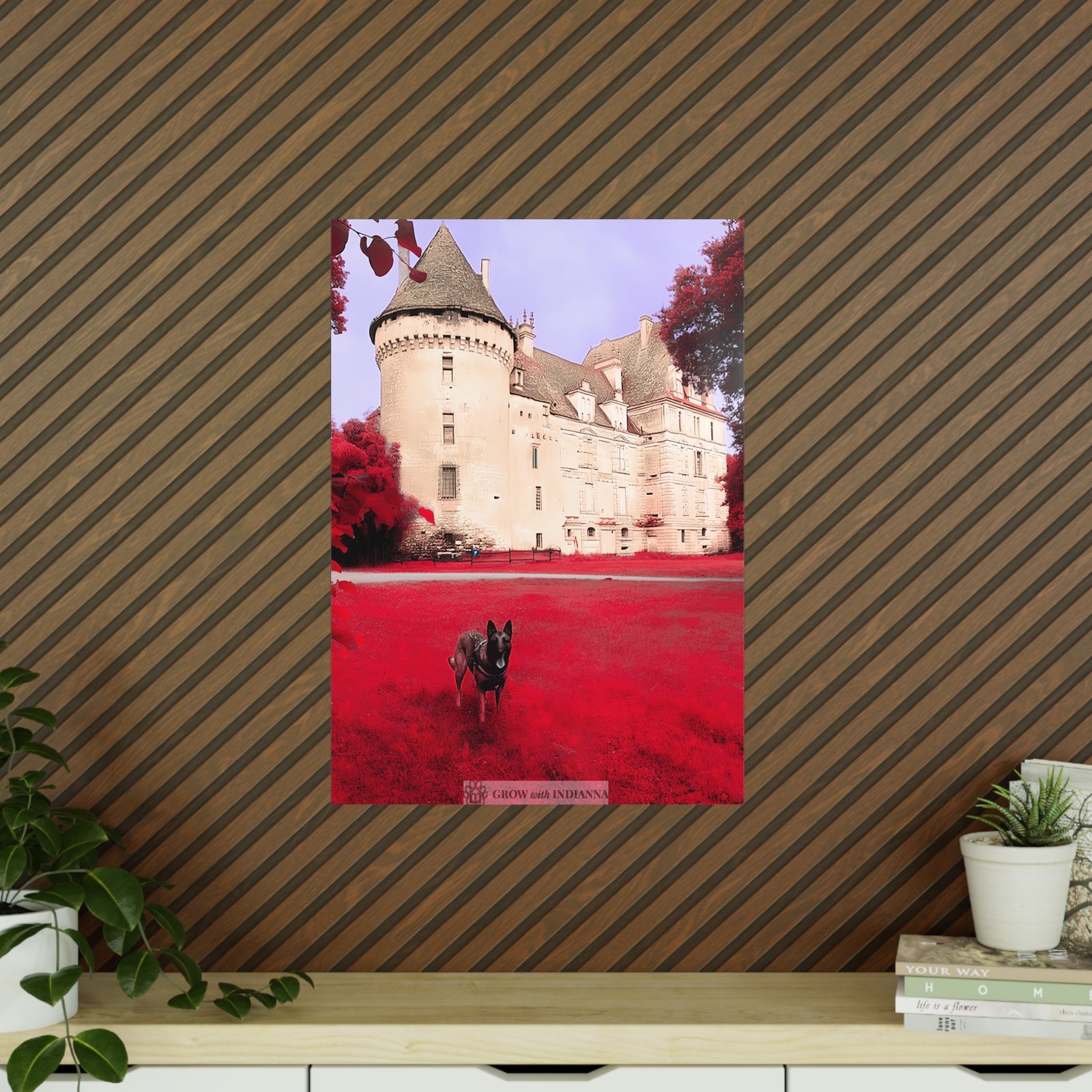 Affiche Photo Officielle "Le Château Enchanté" – Collection Grow with Indianna – Image 30