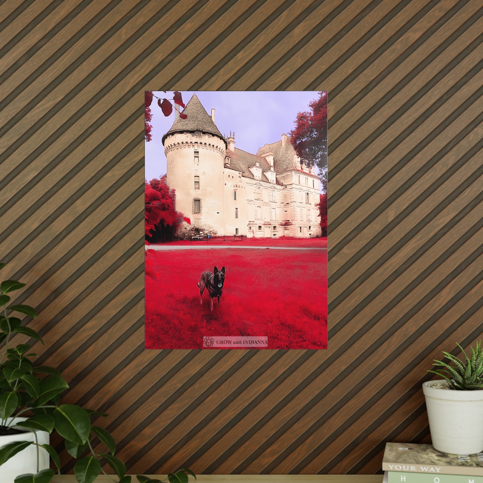 Affiche Photo Officielle "Le Château Enchanté" – Collection Grow with Indianna – Image 18