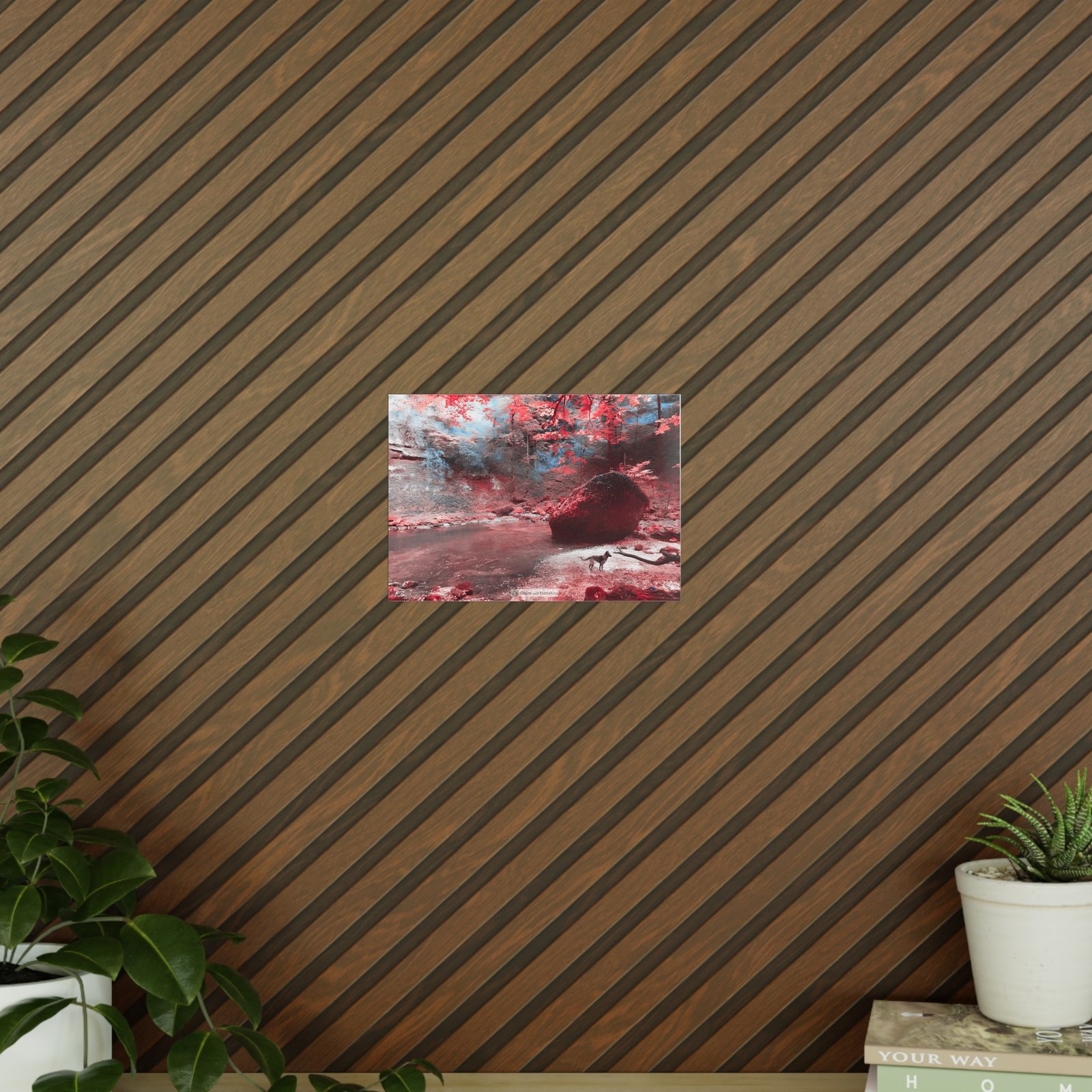 Affiche Photo Officielle "La Forêt Enchantée" – Collection Grow with Indianna – Image 5