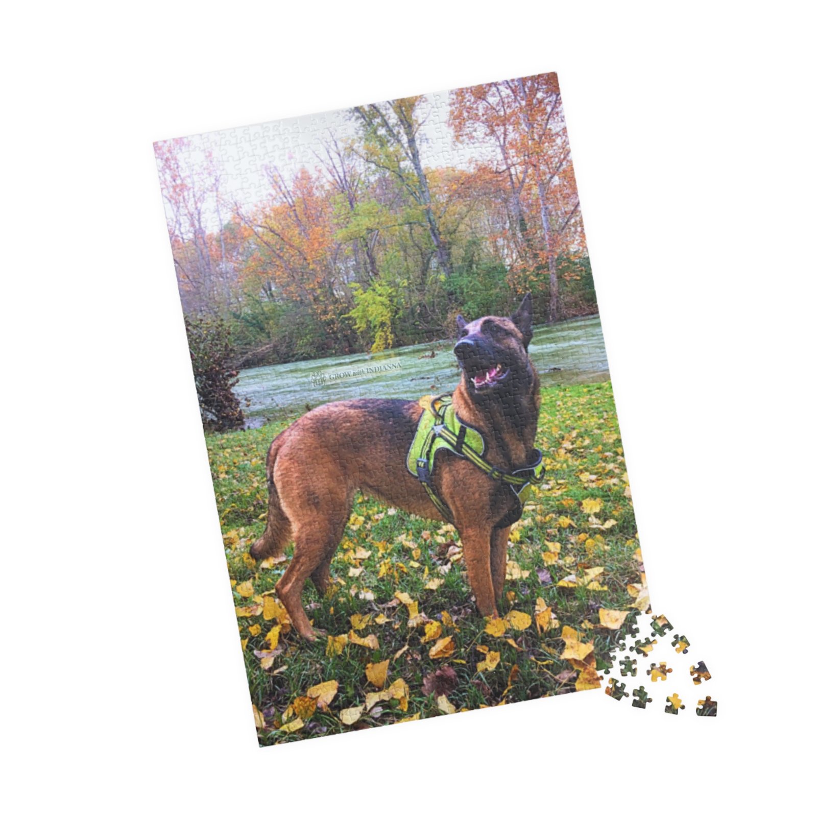 đ§©Puzzle â Indianna dans la Nature d'Automne (110â1014 pcs)- Collection Grow with Indianna â Image 3